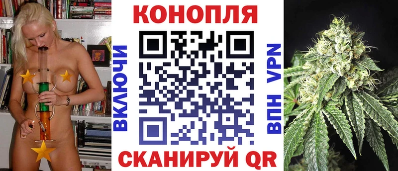 Каннабис индика  Ахтубинск 